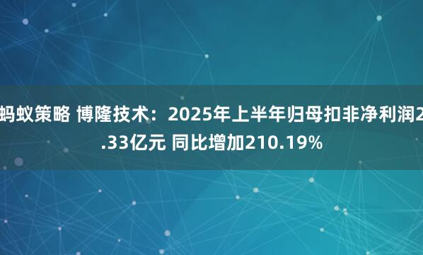 蚂蚁策略 博隆技术：2025年上半年归母扣非净利润2.33亿元 同比增加210.19%