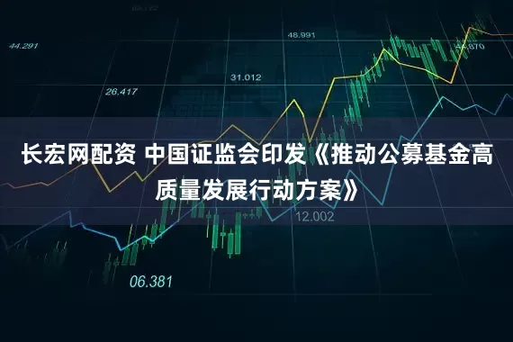 长宏网配资 中国证监会印发《推动公募基金高质量发展行动方案》