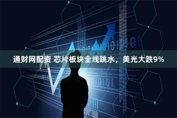 通财网配资 芯片板块全线跳水，美光大跌9%